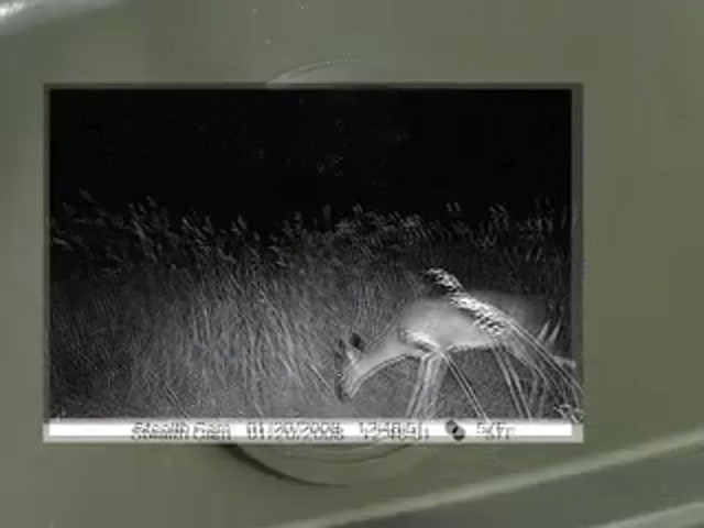 Stealth Cam&reg; Rogue I540 IR Game Camera - image 4 from the video