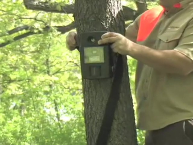 Stealth Cam&reg; Rogue I540 IR Game Camera - image 8 from the video