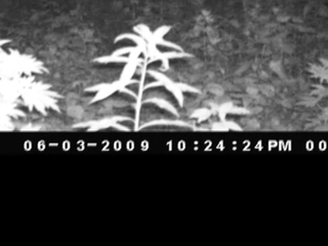Wildgame Innovations&reg; 4.0MP IR Digital Game Camera - image 6 from the video