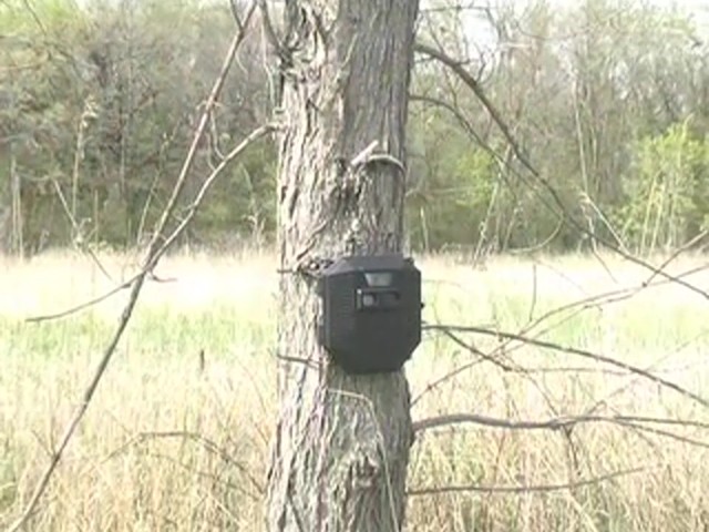 Timberview&#153; 1.3MP Digital Game Scouting Camera  - image 6 from the video