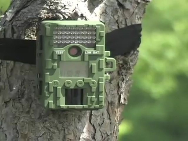Stealth Cam® 3MP Titan Game Camera - image 10 from the video