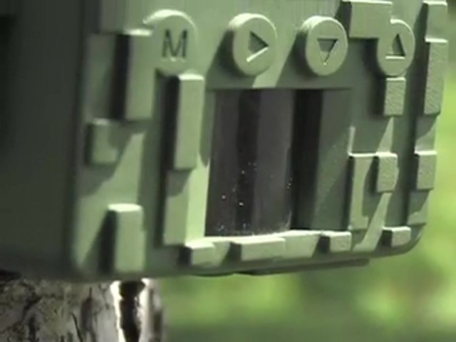 Stealth Cam® 3MP Titan Game Camera - image 2 from the video