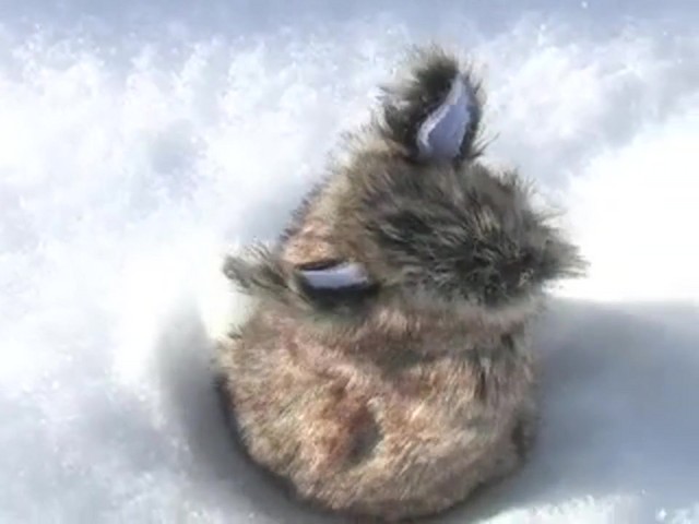 Western Rivers&reg; Deceptor Rabbit - image 1 from the video
