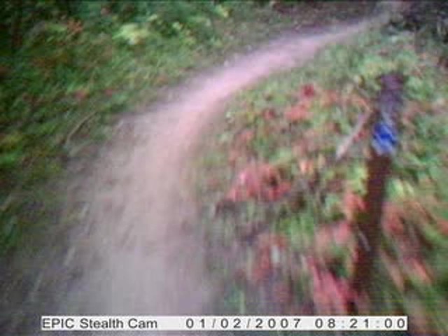 Stealth Cam&#153; Epic Camera - image 3 from the video