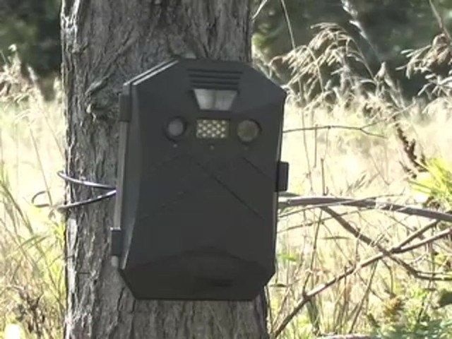 Ghost 5 - megapixel IR Game Camera - image 10 from the video