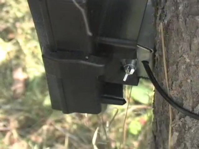 Ghost 5 - megapixel IR Game Camera - image 5 from the video