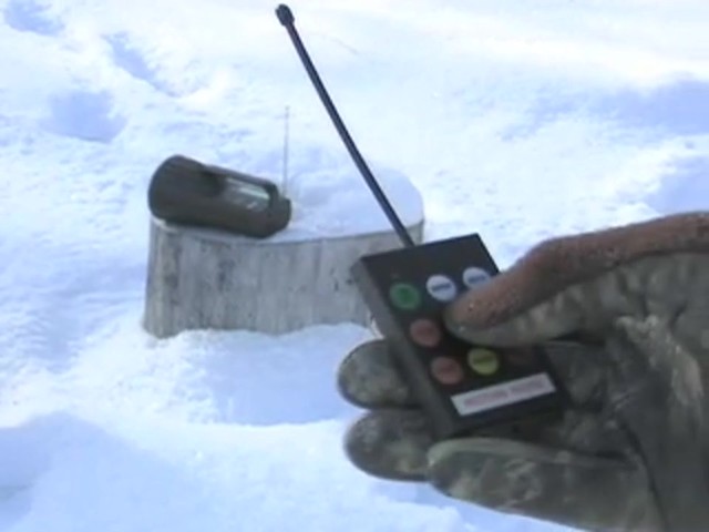 Western Rivers&reg; Day Stalker Game Caller - image 3 from the video