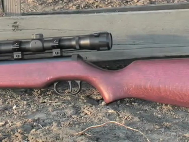 Ruger&reg; Air Hawk .177 caliber Air Rifle Combo - image 4 from the video