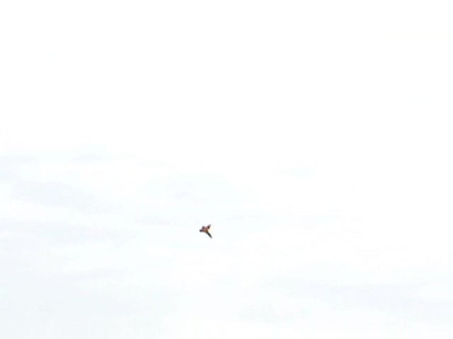 Estes&reg; RC Viper&reg; Stunt Plane - image 5 from the video