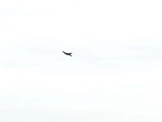 Estes&reg; RC Viper&reg; Stunt Plane - image 9 from the video