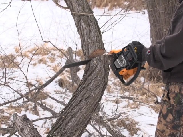 Poulan® Pro-grade Chainsaw - image 3 from the video