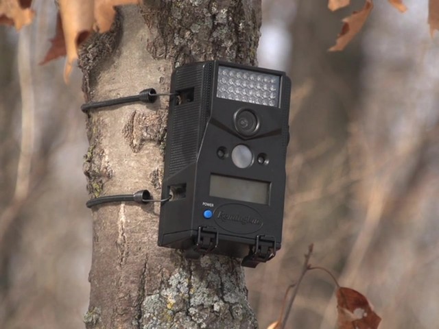 Remington® ShurShot™ 8MP Infrared Game Camera - image 1 from the video