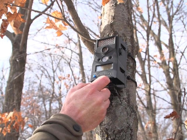 Remington® ShurShot™ 8MP Infrared Game Camera - image 7 from the video