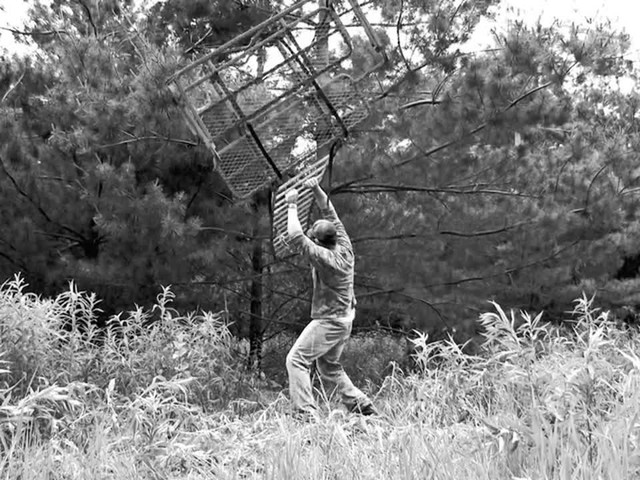 Tree Stand Up™ - image 1 from the video