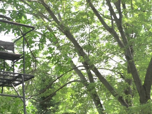 Guide Gear® 17.5' Deluxe 2-man Ladder Tree Stand - image 10 from the video