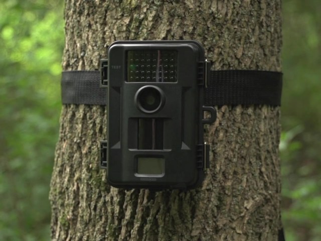 Stealth Cam Unit Ops 8MP Digital Game Camera - image 1 from the video