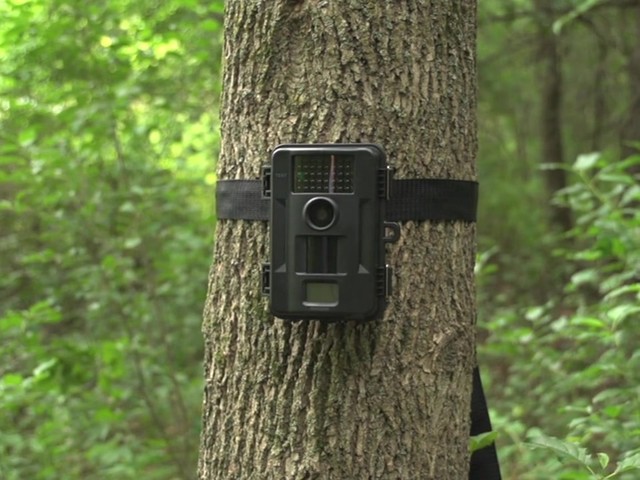 Stealth Cam Unit Ops 8MP Digital Game Camera - image 10 from the video