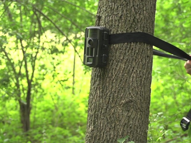 Stealth Cam Unit Ops 8MP Digital Game Camera - image 8 from the video