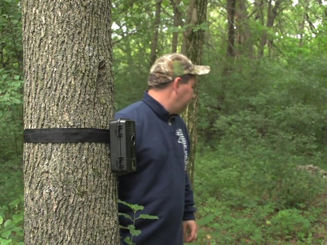 Stealth Cam Unit Ops 8MP Digital Game Camera - image 9 from the video