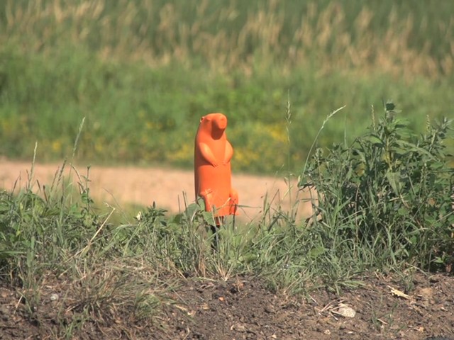 Do-All® 3D Prairie Dog Target with Action Base - image 2 from the video