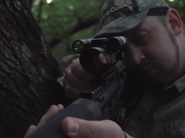 VISM® Red Dot, Green Laser, Flashlight Combo Sighting System - image 4 from the video