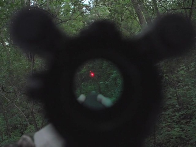 VISM® Red Dot, Green Laser, Flashlight Combo Sighting System - image 8 from the video