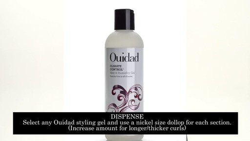 Ouidad Rake Shake - image 1 from the video