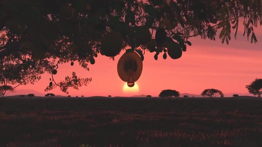 Behind the Brand: Marula Pure Beauty Oil - image 3 from the video