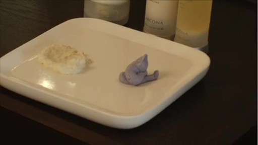 Arcona Basic Five - image 6 from the video