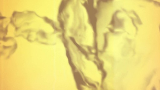 The Secret of Nuxe Huile Prodigieuse - image 1 from the video
