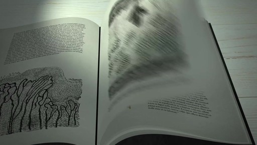 How to Wake Wonderful with Ren's Night-Time Facial - image 1 from the video