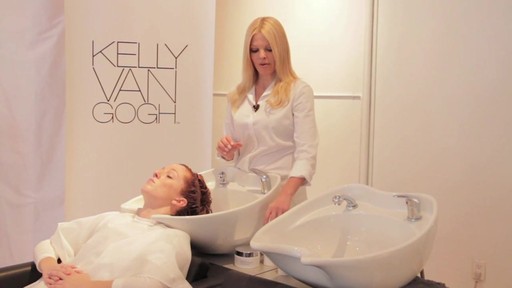 Kelly Van Gogh Hair Colour Products and Tips - image 2 from the video