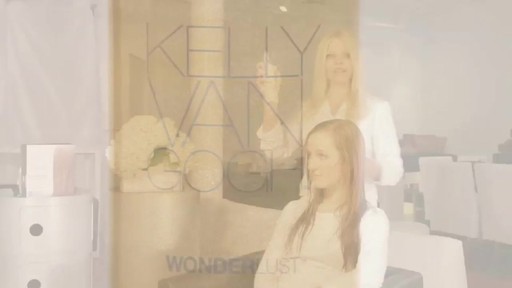 Kelly Van Gogh Hair Colour Products and Tips - image 6 from the video