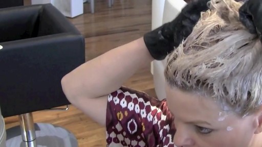 Kelly Van Gogh Hair Colour Master Blend How-To - image 10 from the video