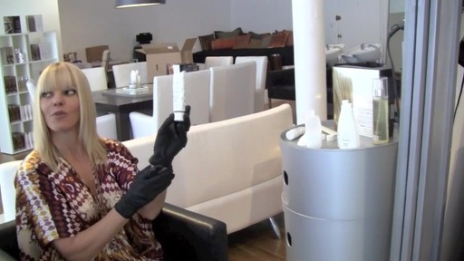 Kelly Van Gogh Hair Colour Master Blend How-To - image 2 from the video