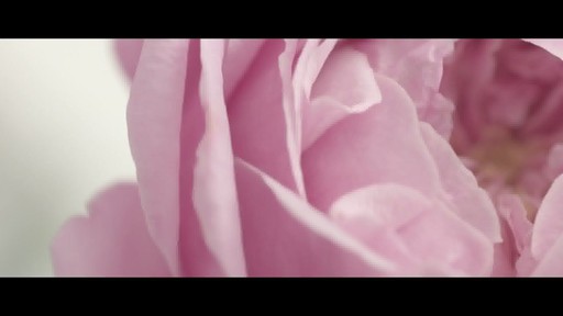Jurlique 30th Anniversary Precious Rose - image 10 from the video