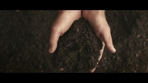 Jurlique 30th Anniversary Precious Rose - image 3 from the video