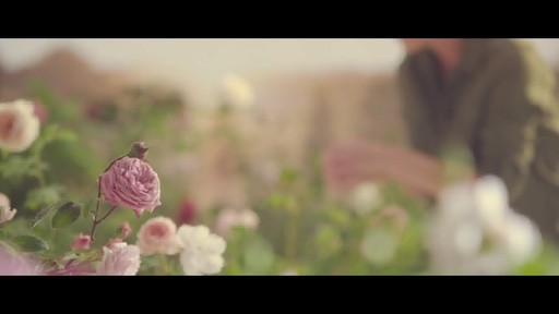 Jurlique 30th Anniversary Precious Rose - image 4 from the video
