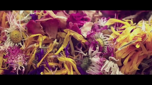 Jurlique 30th Anniversary Precious Rose - image 6 from the video