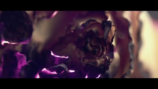 Jurlique 30th Anniversary Precious Rose - image 7 from the video