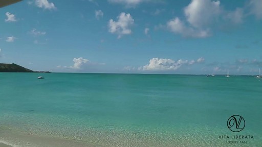 Vita Liberata's Fabulous Tan Collection - image 4 from the video