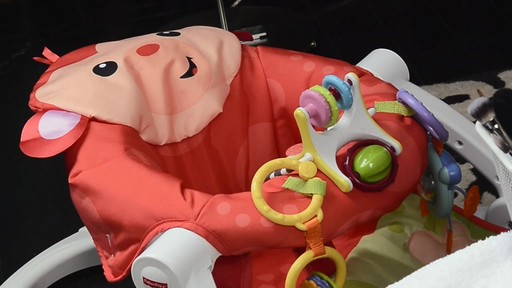 Must Have Baby Toys & Products - image 7 from the video