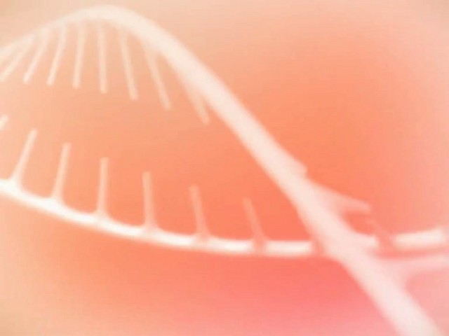 Lancaster 365 Cellular Elixir DNA Complex  - image 3 from the video