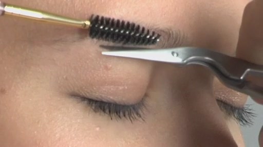 Tweezerman Beautiful Brows - image 2 from the video