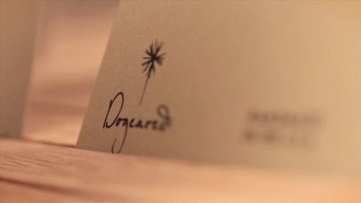 Dogeared Jewelry Rundown - image 1 from the video