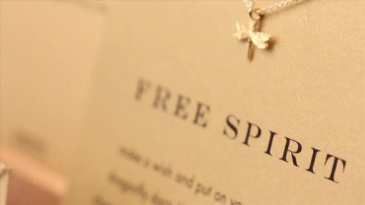 Dogeared Jewelry Rundown - image 3 from the video