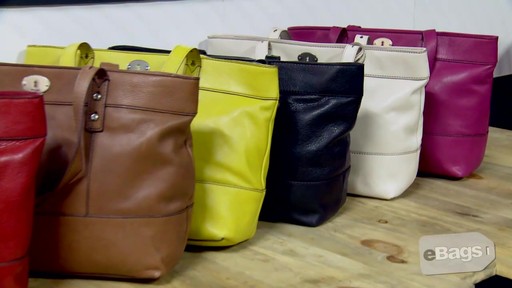 Fossil Hunter Collection - image 4 from the video