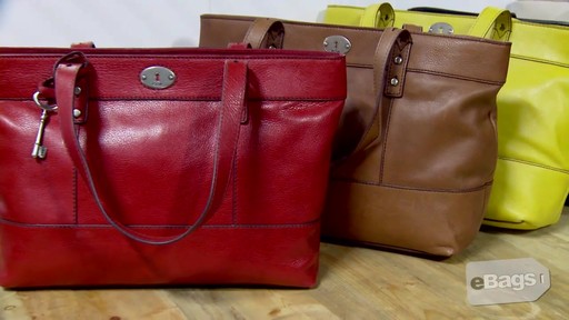 Fossil Hunter Collection - image 7 from the video