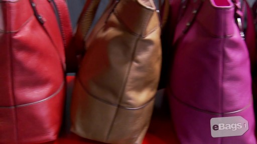 Fossil Hunter Collection - image 9 from the video
