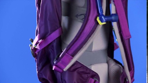 CamelBak Women's L.U.X.E. NV 100 oz   - image 8 from the video